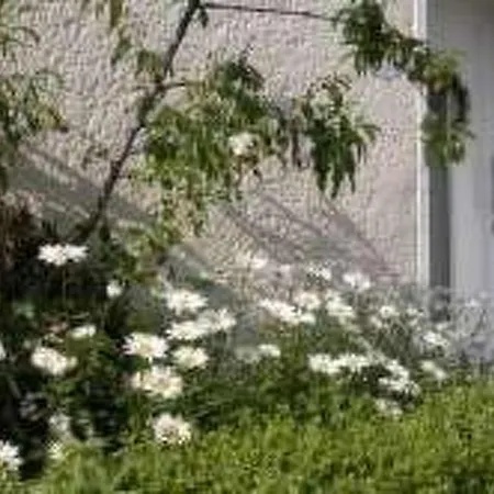 Casa de Férias Auszeit By Interhome *