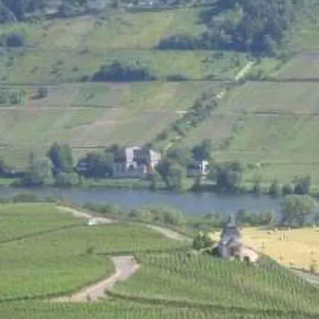 Auszeit By Interhome Vakantiehuis Trittenheim