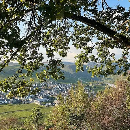 Vakantiehuis Auszeit By Interhome Trittenheim