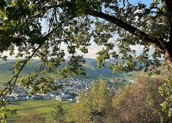 Casa de Férias Auszeit By Interhome Trittenheim